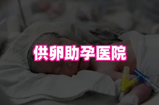 gfg孕网 1