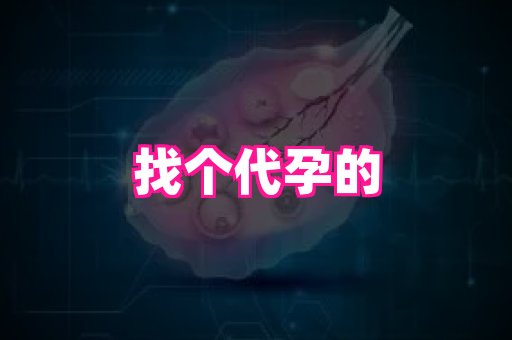 gfg孕网 2