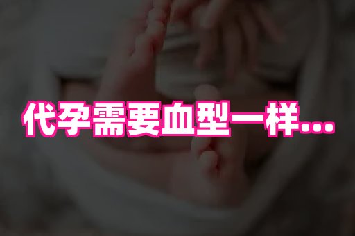 gfg孕网 3
