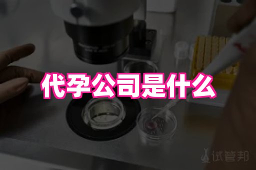 gfg孕网 4